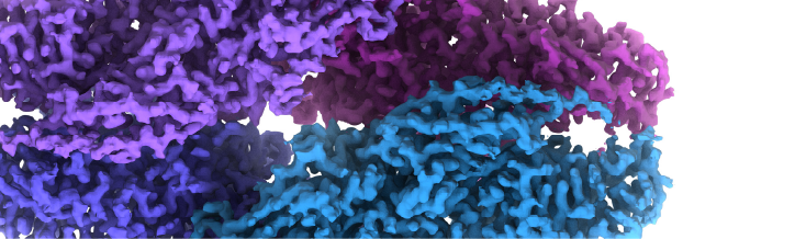 Electron Microscopy banner mobile